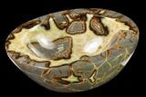Polished Septarian Bowl With Ammonite Fossil - Utah #169532-2
